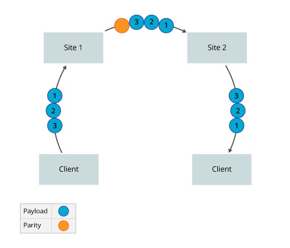 Forward Error Correction 01