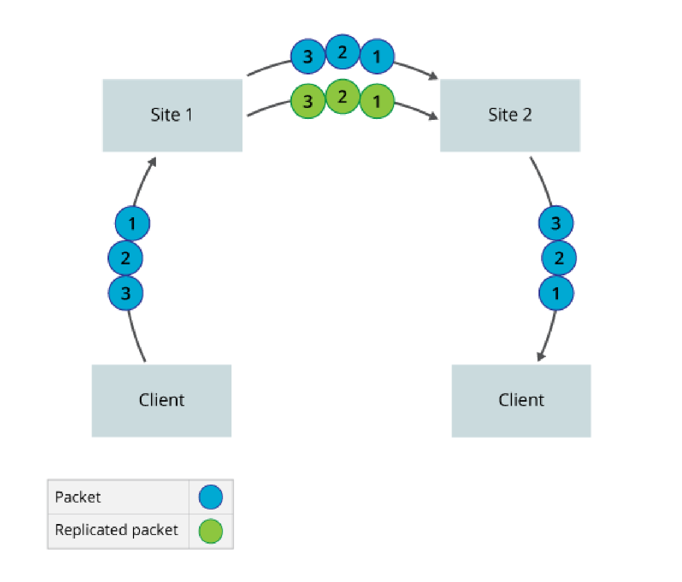 Packet Replication 01